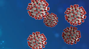 We're not quite sure, but once they did, we had to know what it was. Coronavirus In Vermont Latest News And Impact