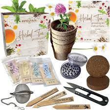 No matter what kind of indoor herb garden kit you choose, you can expect them to make your home smell as fresh as an earthy forest on a rainy summer morning. 10 Best Garden Starter Kits 2021 Hgtv