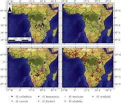 Image result for Ottelia lisowskii