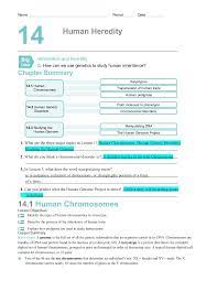 Human chromosomes 2.there are two types of chromosomes. Chapter14worksheets