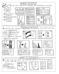 Coloring pages pokemon legendary pokemon… continue reading →. Evolution Coloring Worksheet Teachers Pay Teachers