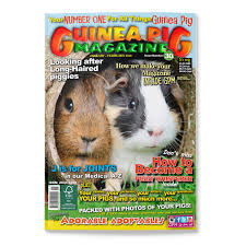 Back issue ( plural back issues). Issue 30 Print Only Guinea Pig Magazine
