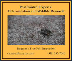 The pest control ny is a platform that is affiliated with the leading pest control service providers all over the new york area. Catseye Pest Control In Albany Ny Provides Experience Pest Control Services With High Quality Customer Care C Pest Control Services Pest Control Pest Removal