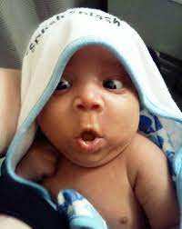 3 gambar bikin gemes | belaja. Jika Anda Mencari Gambar Lucu Bayi Tabung Maka Anda Berada Di Tempat Yang Tepat Blog Lucuki Memiliki Banyak Koleksi Gamba Little Ones Seriously Funny Funny Me