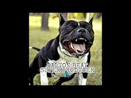 Baixe todos os beat música inúmeras. Kuduro Trap Beat Hard Type Prod Dalton Beat Link Pra Baixar Na Descricao Youtube