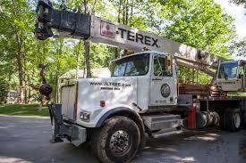 Northern virginia tree experts provides tree trimming and removal services to the fairfax, va, area. Tree Removal Tree Trimming In Arlington Fairfax Va Jl Tree Service
