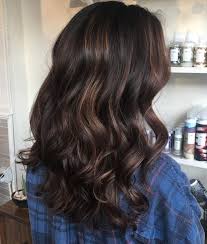 Black And Brown Highlights Curly Hair 60 Hairstyles Featuring Dark Brown Hair With Highlights Brown Hair With Highlights Hair Highlights Curly Hair Trends