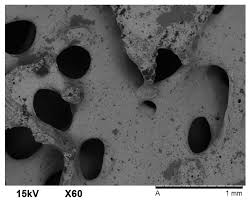 The scanning electron microscope (sem) is among the most frequently used instruments for examining bone. Applied Sciences Free Full Text Physical And Mechanical Properties Of Composite Scaffolds With Or Without Collagen Impregnation Html