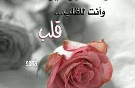احلى صباح لحبيبي الغالي 30 رسالة وخاطرة اختر منها واهدها لمن تحب floral floral rings flowers