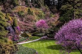 Led by the garden club of toronto, the toronto flower show is a signature of the festival and can't be missed. Hd Wallpaper Trees Flowers Lawn The Rise Garden Canada Ladder Track Wallpaper Flare