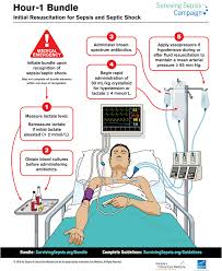 See full list on who.int Initial Resuscitation For Sepsis And Septic Shock Hour 1 Bundle Download Scientific Diagram