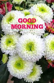 Create the best memories out of the most ordinary situations. Good Morning With White Flowers Desicomments Com