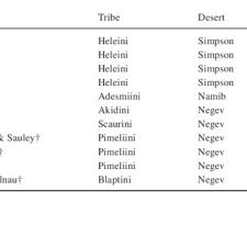 Maybe you would like to learn more about one of these? Metabolic Rates Of The Nocturnally Active Arid Dwelling Tenebrionid Download Scientific Diagram