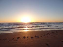 Hilton Garden Inn South Padre Island Texas Travel Beach Hotel Photo Copyright Energizer Bunnie South Padre Island South Padre Island Texas Places To Travel