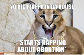 With tenor, maker of gif keyboard, add popular flop cat animated gifs to your conversations. B A R S R Okbuddyretard Big Floppa Got Memes Funny Doge Memes