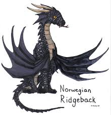 9.ฮังการีหางหนาม (hungarian horntail) คาดว่าดุร้ายที่สุดในบรรดามังกรทุกสายพันธุ์ พันธุ์ฮังการีหางหนาม มีเกล็ดสีดำ และรูปร่างคล้ายกิ้งก่า ตาสีเหลือง เขา. à¸™à¸­à¸£ à¹€à¸§à¸¢ à¸«à¸¥ à¸‡à¹€à¸› à¸™à¸ª à¸™ Norwegian Ridgeback à¸ªà¸²à¸¢à¸ž à¸™à¸˜ à¸¡ à¸‡à¸à¸£
