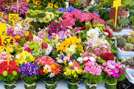 Flowers with same day delivery, we guarantee the florist arranged flowers will be delivered today! Fresh Flowers For Sale At A Flower Market Stock Photo Picture And Royalty Free Image Image 76549706