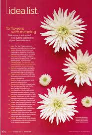 Chinese flowers carry various flowers. Pin On Random