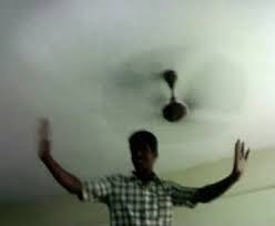 Check spelling or type a new query. Ceiling Fan Gif Animation Haiku Smart Ceiling Fan