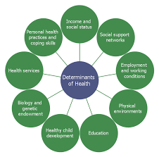 Social determinants of health are the primary contributors to unfair and avoidab. Social Determinants Of Health Hub And Spoke Diagram Circle Diagrams Circle Spoke Diagrams Diagram Of Determinants Of Health