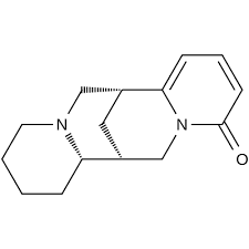 Image result for Dichilus