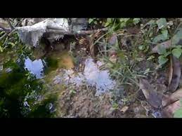 Mata air atau biasa disebut sebagai spring water merupakan sumber air bersih yang sudah layak untuk dikonsumsi, karena air yang dihasilkan telah melalui proses purifikasi alami atau self purification. Punca Air Mata Air Youtube