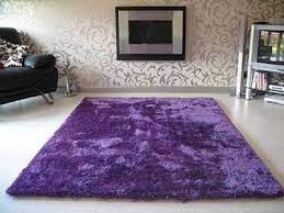 Purple Rug Purple Rooms Purple Home Purple Rug