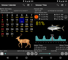 41 Correct Deer Hunting Solunar Chart