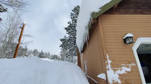 6,142 Snow Covered Pine Tree Stock Videos, Footage, & 4K Video Clips