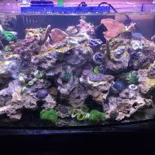 Check Out My Aquarium Depot Experience Customer Photos Photo Aquarium