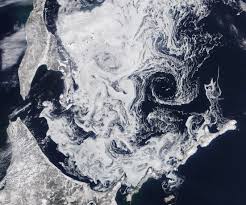 Drift Ice in the Sea of Okhotsk
