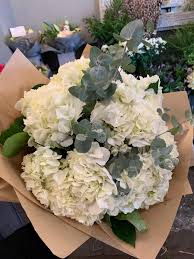 Published prices are for members & online subscribers only. Hydrangea Happiness Bouquet A Dozen Mixed Coloured Hydrangeas