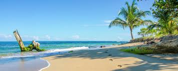 Total cases, death rate, recovered cases, news & videos. Reisen Nach Costa Rica Aktuell Urlaubsguru