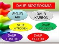 Gambar daur fosfor peran kelinci. Latihan Soal Biogeokimia Biology Quiz Quizizz