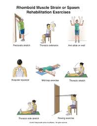 The following exercises are used in the rehabilitation of calf strain injuries. 28 Therex Strength Practical Ideas Exercise Physical Therapy Rehabilitation Exercises