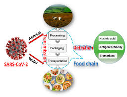 A wide variety of smoke detector surveillance cameras options are available to you, such as network, sensor, and video compression format. Biosensors Free Full Text Food Safety In Post Covid 19 Pandemic Challenges And Countermeasures Html
