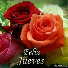 With over 20 years of versed and expert experience you can feel confident of fulfilling your floral needs in our hands and service. Pin By Purificacion Fernandez On Flores Rose Flowers Flower Beauty