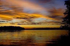 Then leaf subsides to leaf. Nothing Gold Can Stay By Robert Frost