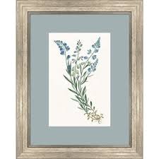 Image result for Polygala products