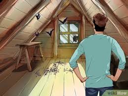 Bats do not behave like common pests, such as rats. How To Get Rid Of Bats 11 Steps With Pictures Wikihow