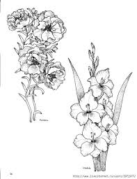 © 2021 sony interactive entertainment llc Gladiola Skin Color Tattoos Flower Line Drawings Flower Sketches
