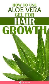How To Use Aloe Vera Gel For Hair Growth Hairgrowth 2020 Bilgi