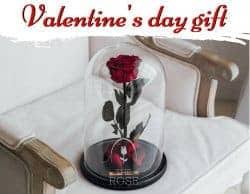 There are gift ideas for your girlfriend that might keep you out of the doghouse, and then there are the best gifts ideas that will light up her day. Best Gf Gift Ideas
