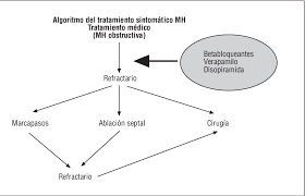 La miocarditis eosinofílica se ha reportado en 0. Guias De Practica Clinica De La Sociedad Espanola De Cardiologia En Miocardiopatias Y Miocarditis Semantic Scholar