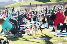 Maybe you would like to learn more about one of these? Yoga For Yoga Haters 4 Places In Metro Phoenix To Try She Moves Phx