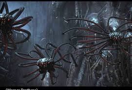 Image result for Cincinnobotrys