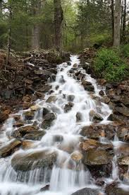 Maybe you would like to learn more about one of these? On The Trail With Darcy And Lizzy Pine Grove Furnace And Caledonia State Parks State Parks Cool Places To Visit Beautiful Places