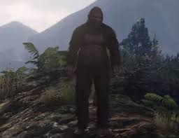 To see a list of all the special characters that can be unlocked from that video, here's the gtawiki page to the director mode. Gta 5 Has A Hidden Playable Bigfoot Character Gamespot