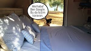 Evcil Hayvanla Tatil Tavsiyeler Biz Evde Yokuz