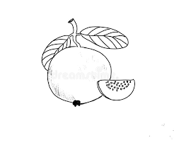 Coloring Kid Stock Illustrations 38 770 Coloring Kid Stock Illustrations Vectors Clipart Dreamstime How to draw a tulip flower video. coloring kid stock illustrations 38